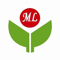 镇江实验学校-魅力之城.png